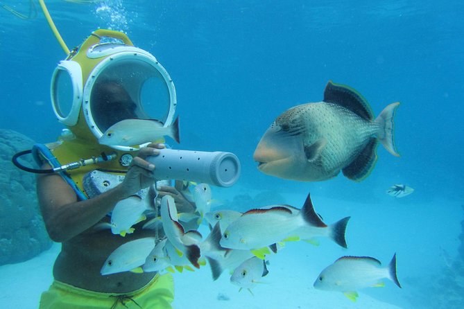 Aquablue Moorea - Photos and video worth considering