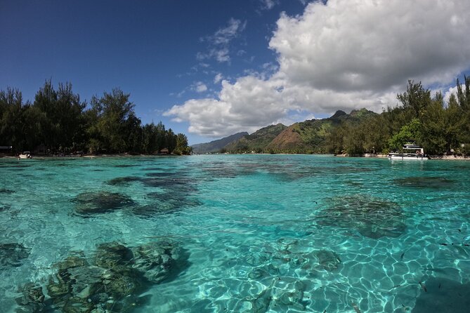 Aquablue Moorea - Why the small group changes the experience