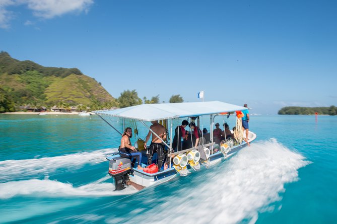 Aquablue Moorea - Who will enjoy this most