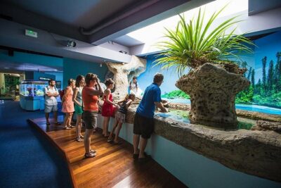 Aquarium Package in Nouméa’s with Admission with Hop-on Hop-Off