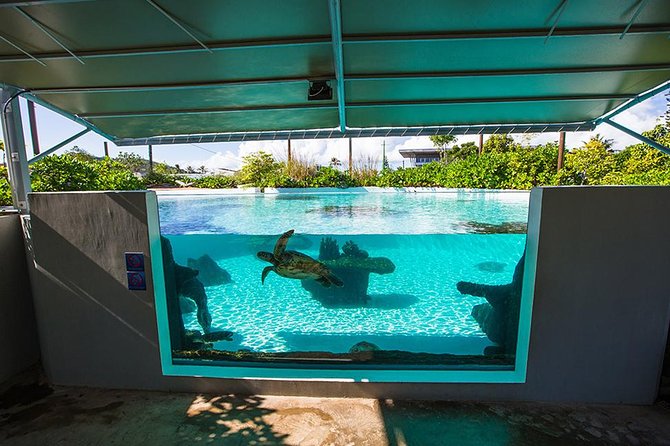 Aquarium Package in Nouméa's with Admission with Hop-on Hop-Off - Timing your visit between 9 a.m. and 6 p.m.