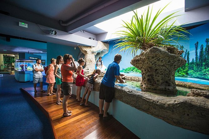 Aquarium Package in Nouméa's with Admission with Hop-on Hop-Off - The turtles and the overhead bridge