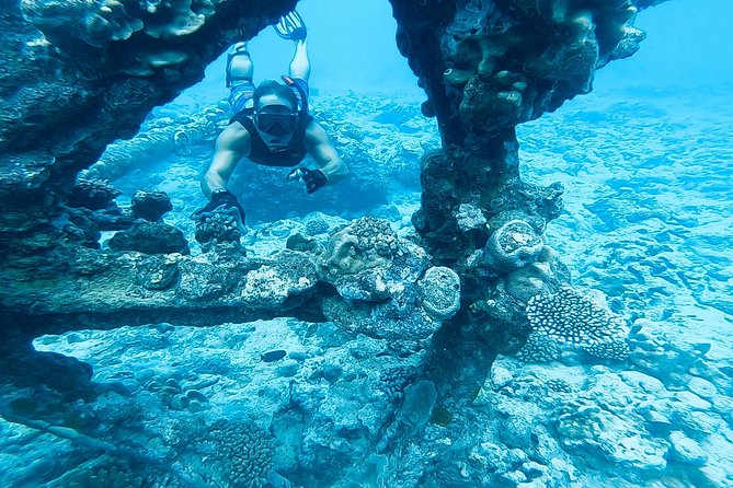 Ariki Adventures: Premium Sea Scooter Shipwreck Adventure - Key points before you book