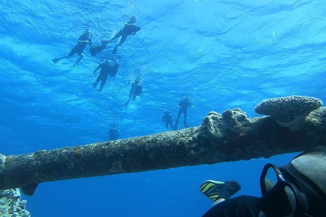 Ariki Adventures: Premium Sea Scooter Shipwreck Adventure - Seeing the shipwreck at 5 metres