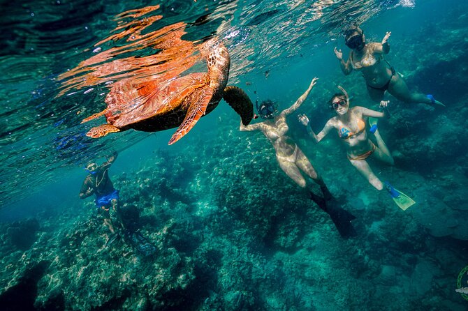 Ariki Adventures: Premium Sea Scooter Turtle Adventure - Safety, supervision, and confidence in the water