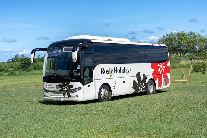 Arrival Shared Transfer : Airport to Hotel - A Shell Lei and a Clear First Step at Nadi Airport
