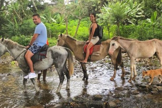 Authentic Fijian Day Tour - What the kava welcome adds
