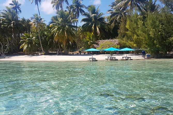 Authentic Polynesian Experience - What the $146.24 price includes in value