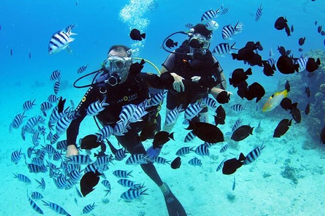 Baptism diving in the turquoise waters of Tahiti - Key points before you book