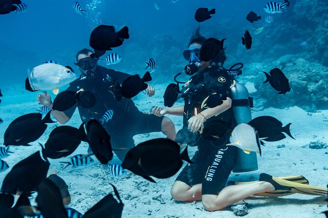 Baptism diving in the turquoise waters of Tahiti - Fish, weightlessness, and the parts you cannot plan