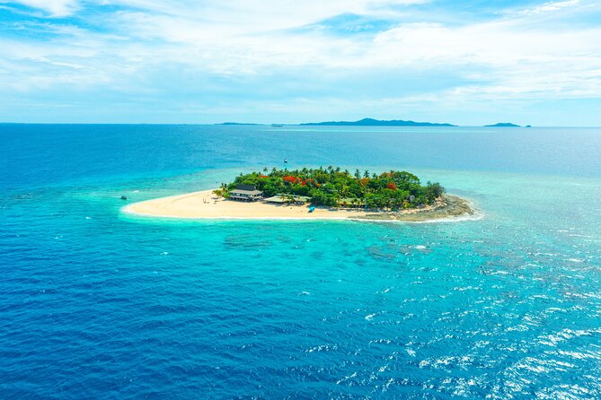 Beachcomber Island Escape - A Perfect Day in Paradise - Turtle pond exploration and time to slow down