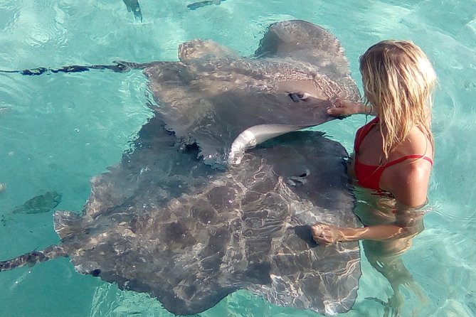 Best Way to Interact with Ocean Wildlife with Lunch. 6H - A private motu lunch with poisson cru and grilled food