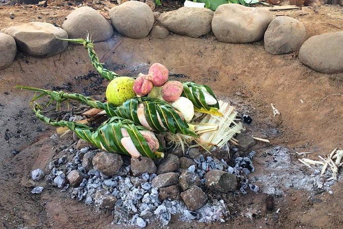 Biausevu Waterfall Tour (Sigatoka) - Hiking through rainforest to Sava Nu Mate Laya
