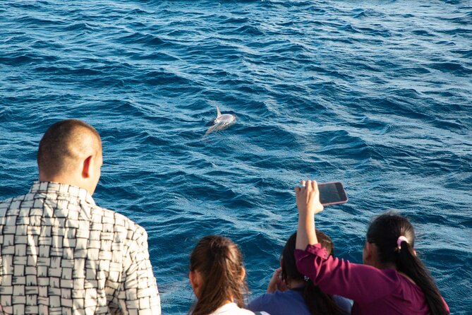 BIG Sunset Cruise - Dinner & Dolphin Watching in Guam - Key details before you book