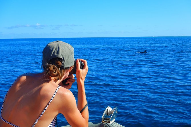 Boat tour 1/2 day Excursion in the lagoon of Moorea - Swimming with stingrays and black-tip sharks