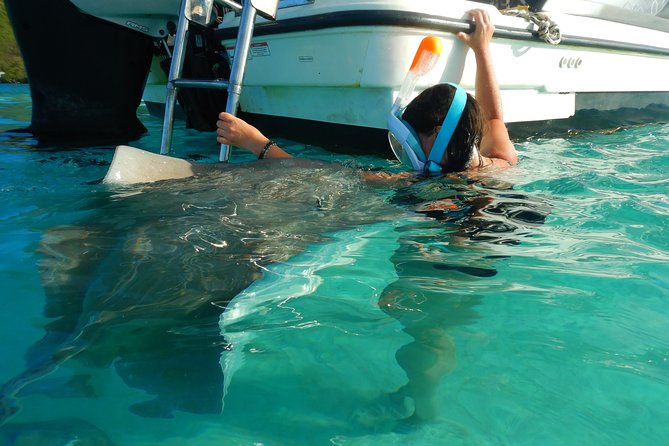 Boat tour 1/2 day Excursion in the lagoon of Moorea - What the $121.46 price includes