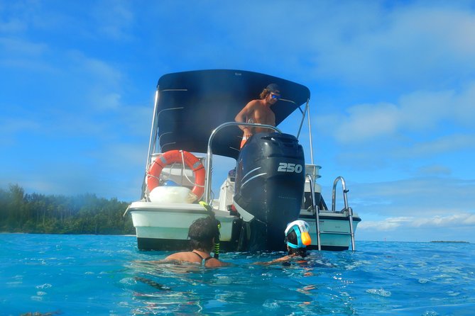 Boat tour 1/2 day Excursion in the lagoon of Moorea - Timing, weather, and practical planning