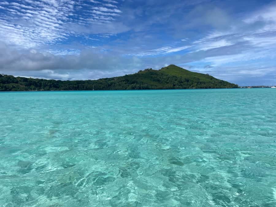 Bora Bora: 1/2 day Coral Discovery tour - Shared tour - Why this is more than a standard Bora Bora snorkel trip