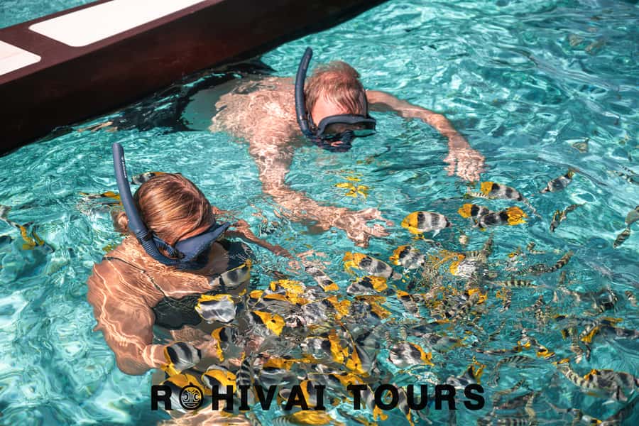 Bora Bora: 1/2 day lagoon safari - Shared tour - What the boat ride adds to the four-hour outing