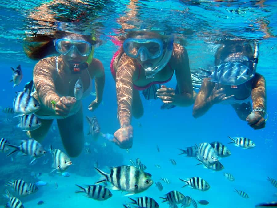 Bora Bora: 3.5-Hour Lagoon Boat Tour with Snorkeling - Weather, safety, and what to pack