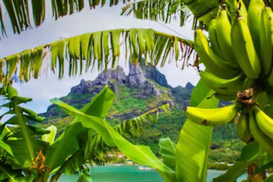 Bora Bora: 4WD History & Culture Tour - Ancient temples, legends, and the older island story