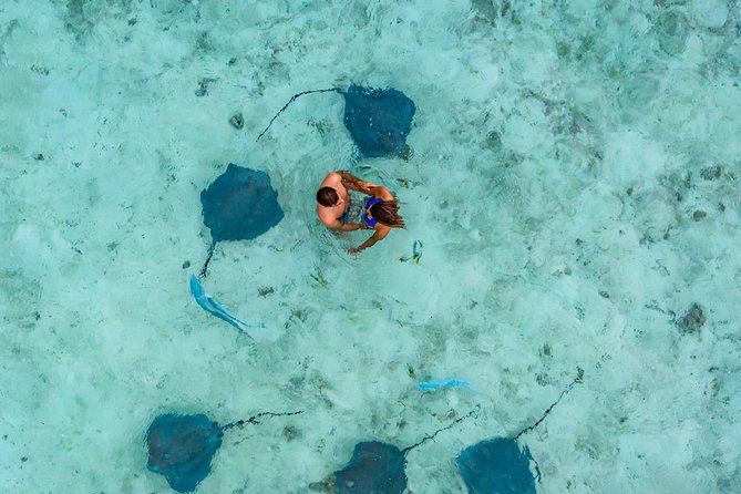 Bora Bora 4WD Tour & Eco Shark & Ray Snorkel Cruise - Who should book this Bora Bora combo?