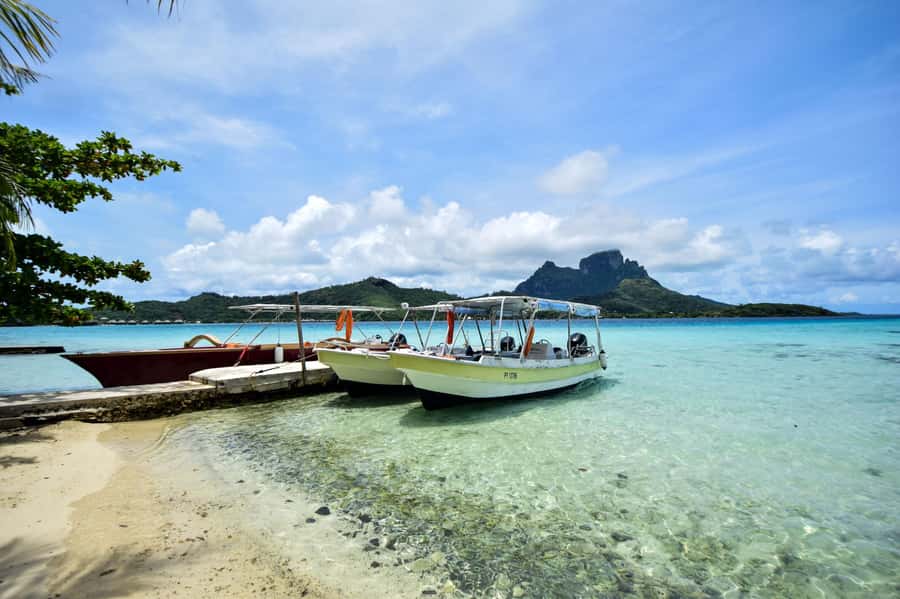 Bora Bora: 4x4 Safari with Snorkelling Combo Tour - The lagoon portion: sharks, rays, mantas, and reef fish