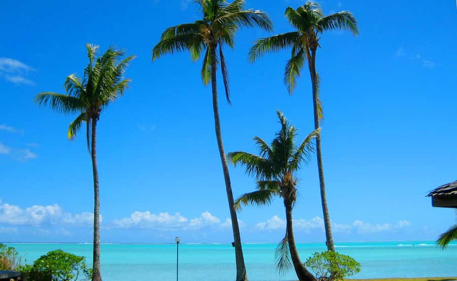 Bora Bora: 4x4 Safari with Snorkelling Combo Tour - Guides, language, and the feel of the day