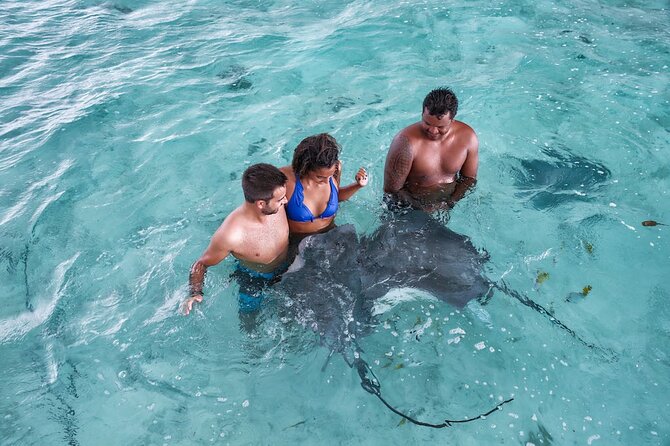 Bora Bora adventure Private Combo Jet Ski and Eco Sharks Snorkel - The lagoon and the wildlife you may see