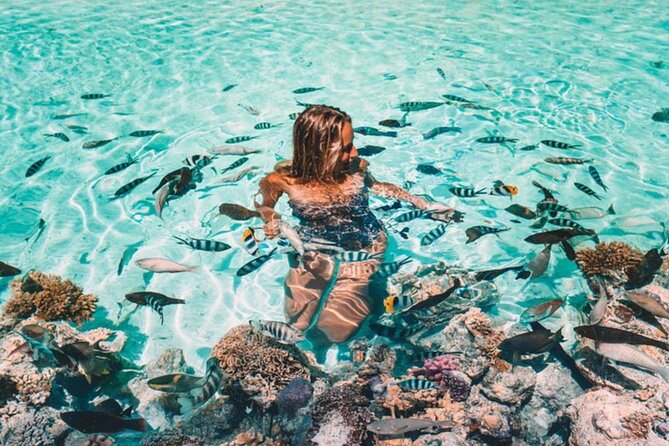 Bora Bora adventure Private Combo Jet Ski and Eco Sharks Snorkel - Morning: circling Bora Bora by private jet ski