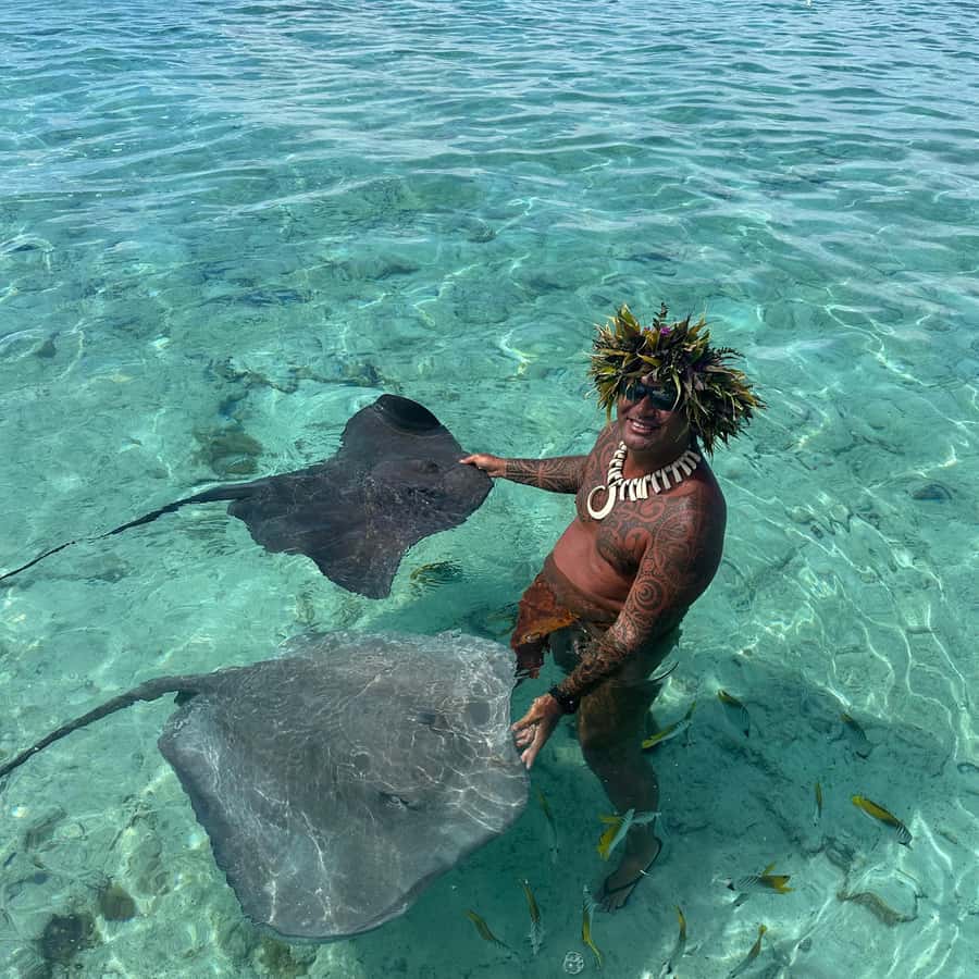 Bora Bora: Blue Lagoon Cruise, Snorkeling and Lunch . - Snorkeling at the coral garden