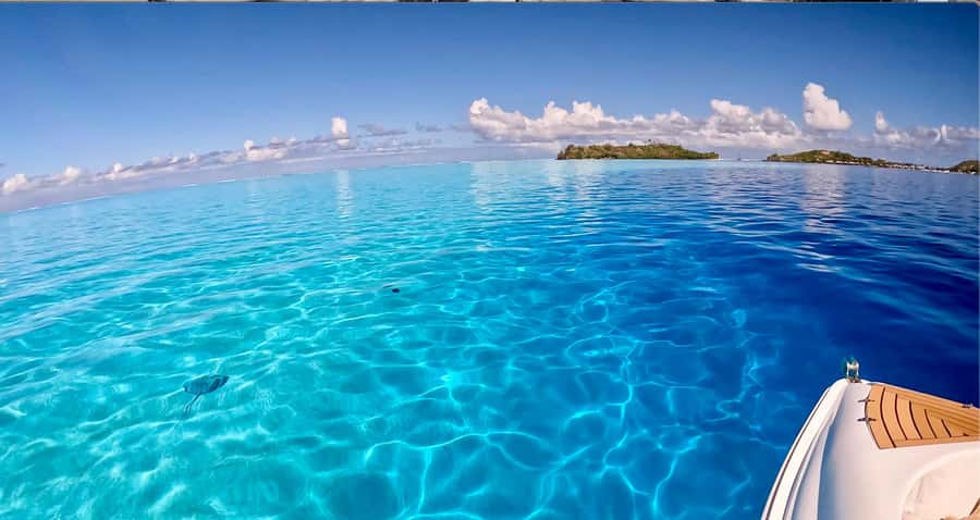 Bora Bora: Blue Lagoon Cruise, Snorkeling and Lunch . - Lunch on a motu with a local feel