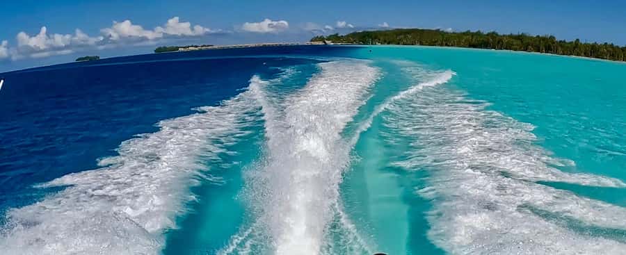Bora Bora: Blue Lagoon Cruise, Snorkeling and Lunch . - Swimming near sharks and rays