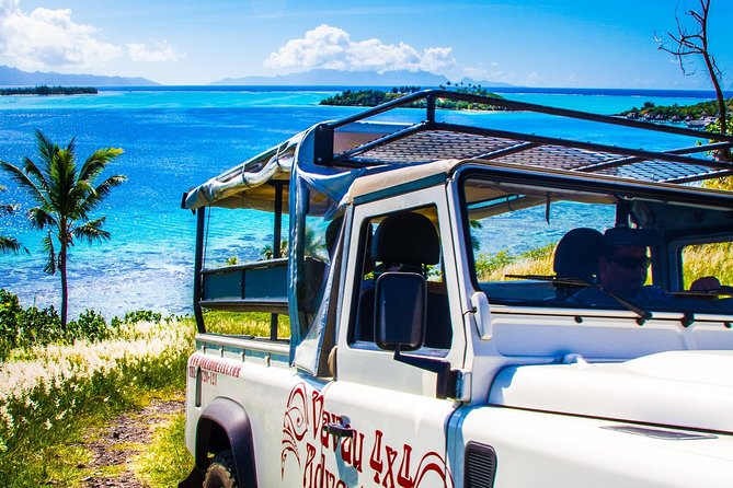 Bora Bora Combo Tour: Lagoon Cruise and 4WD Tour Including Snorkeling - Black-tip reef sharks and the final coral garden