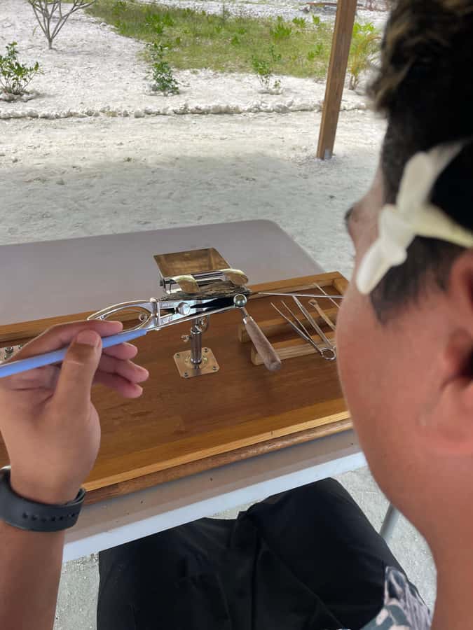 Bora Bora: Discovering the Tahitian black pearl ! - Why a pearl farm makes a good Bora Bora excursion