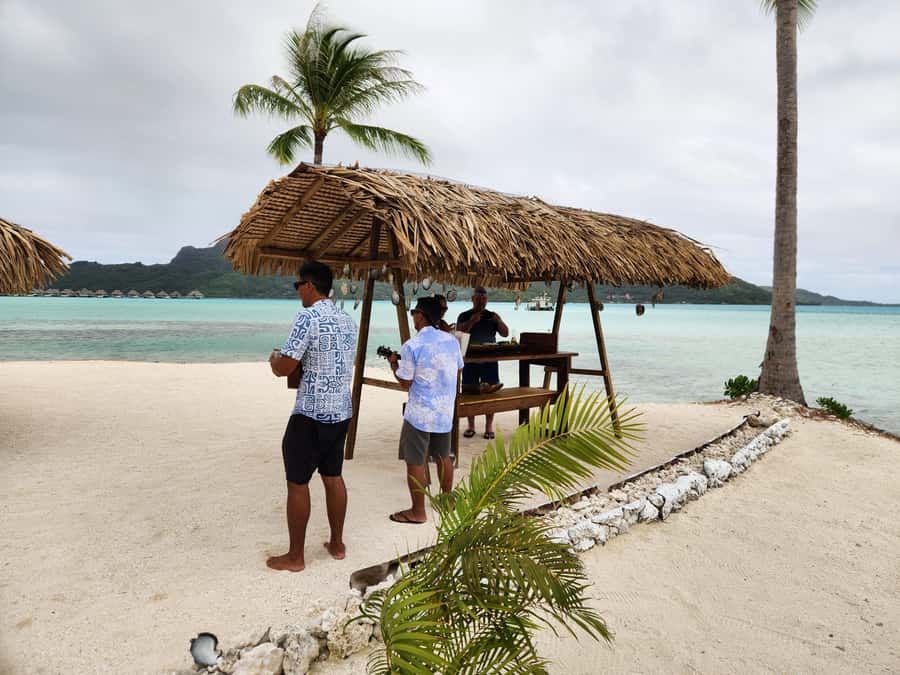 Bora Bora: Discovering the Tahitian black pearl ! - Snorkeling beside the oyster baskets