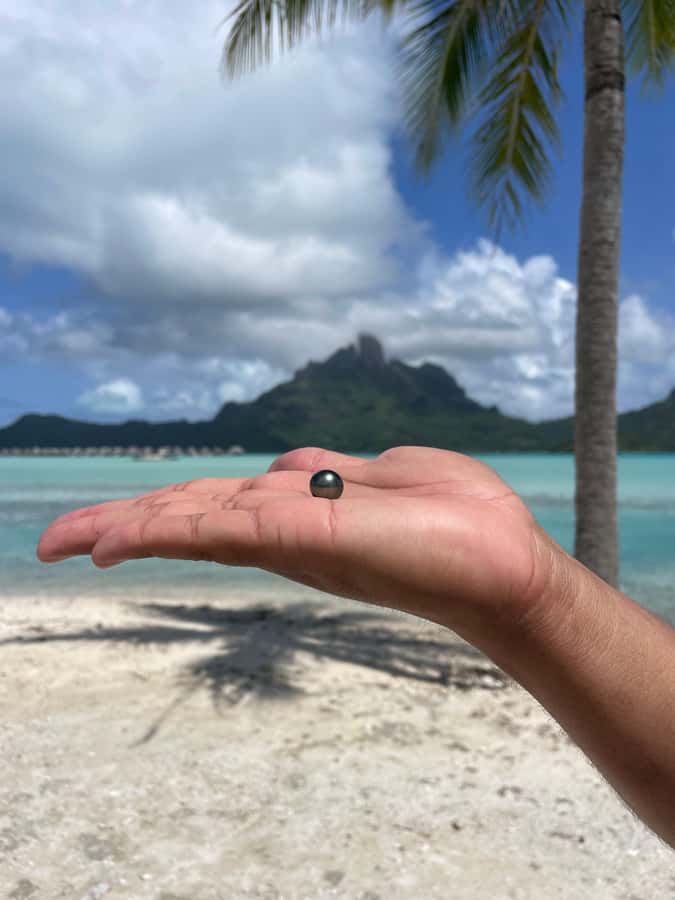 Bora Bora: Discovering the Tahitian black pearl ! - The first lesson: Tahitian black pearl history
