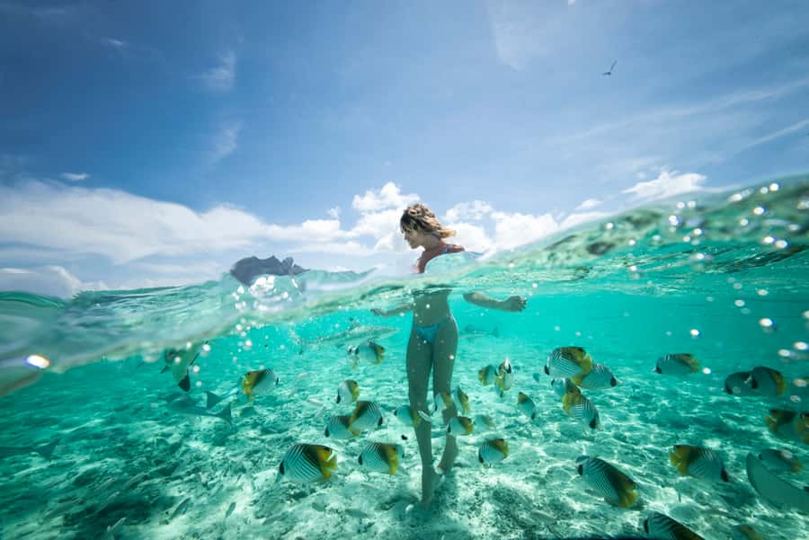 Bora Bora: Eco Shark and Snorkeling Safari - Three stops that make the 150 minutes worthwhile