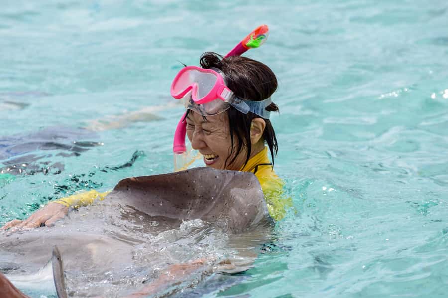 Bora Bora: Full-Day Lagoon Snorkelling Tour - Key points to know before you book