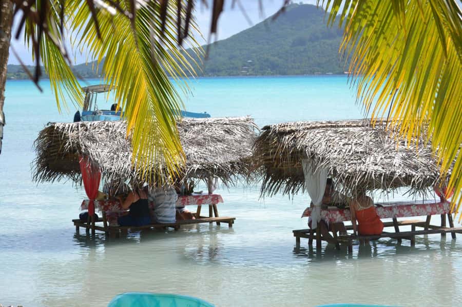Bora Bora: Full-Day Lagoon Snorkelling Tour - Who will get the most from this tour