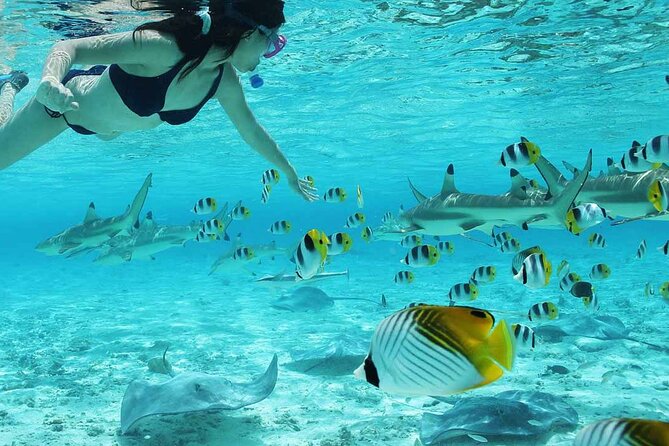 Bora Bora Full Day Snorkeling with Lunch - What the price of $153.04 includes