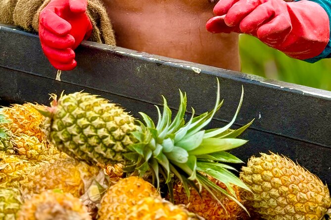 Bora Bora Gourmet Odyssey - Food Tour - Seasonal fruit and the first taste of island food