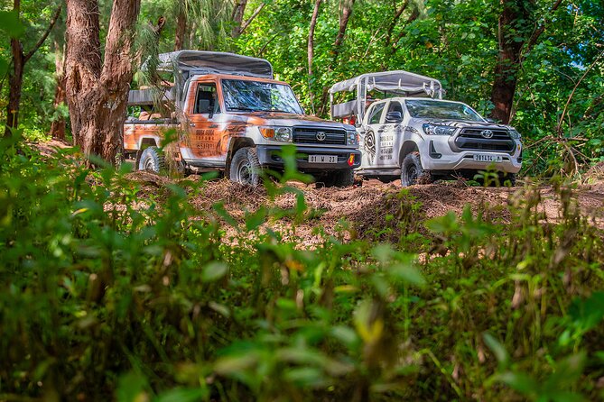 Bora Bora Half Day 4X4 Island Safari Tours - Why this 4x4 tour shows you a different Bora Bora