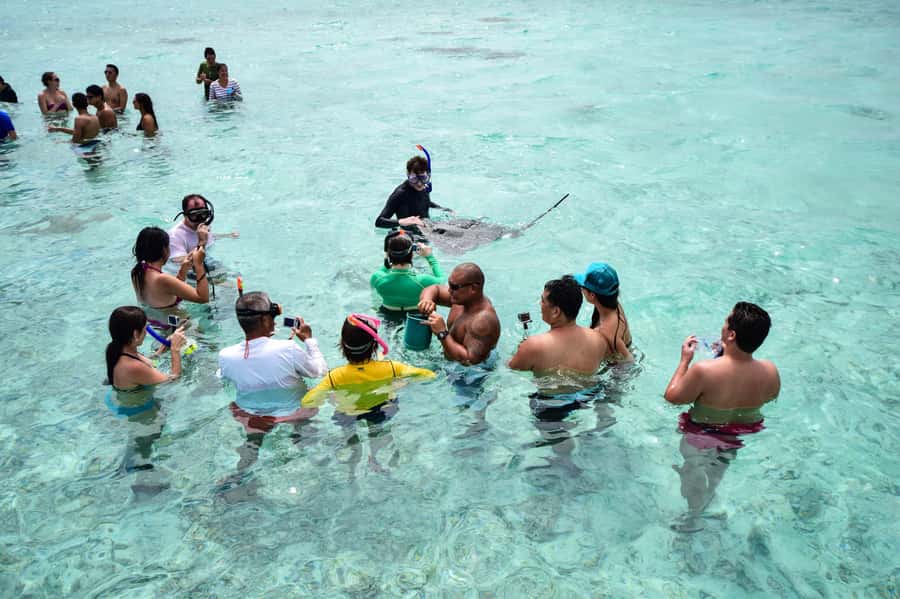 Bora Bora: Half-Day Lagoon Snorkelling Tour - Why this three-hour lagoon trip works