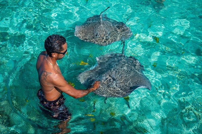 Bora Bora Half Day Snorkeling - Motu Fanfan gives the morning a proper pause