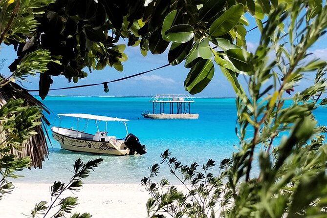 Bora Bora Half Day Snorkeling - The guide and group size