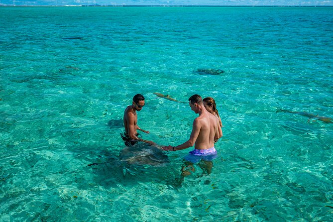 Bora Bora Half Day Snorkeling - Who will enjoy this half-day outing