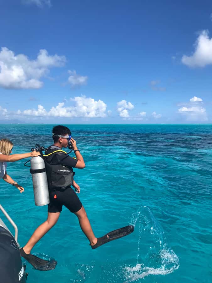 Bora Bora: Introductory Dive - Your first underwater hour in Bora Bora