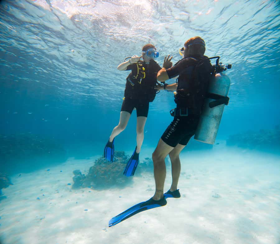 Bora Bora: Introductory Dive - Why the small group matters for beginners
