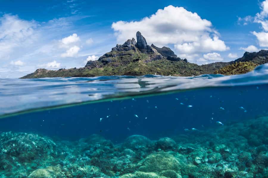 Bora Bora: Introductory Dive - FAQ